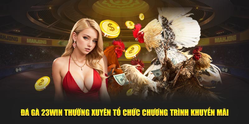 Đá Gà 23Win thường xuyên tổ chức chương trình khuyến mãi