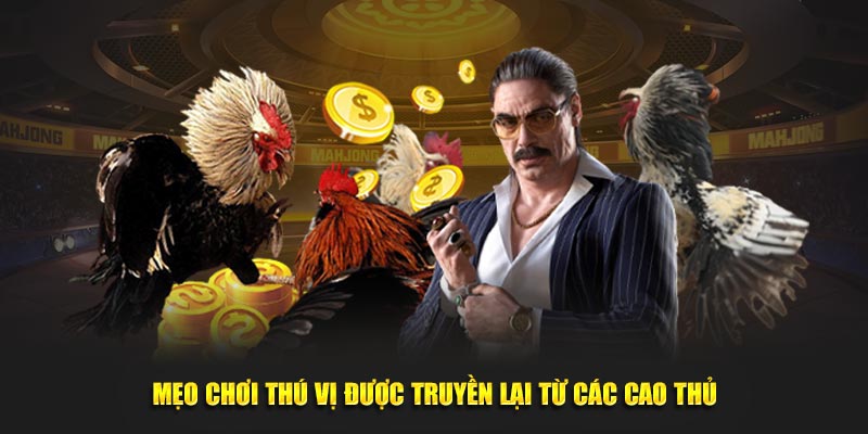 Mẹo chơi thú vị được truyền lại từ các cao thủ