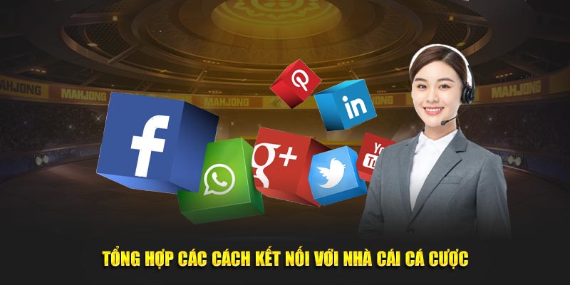 Tổng hợp các cách kết nối với nhà cái cá cược